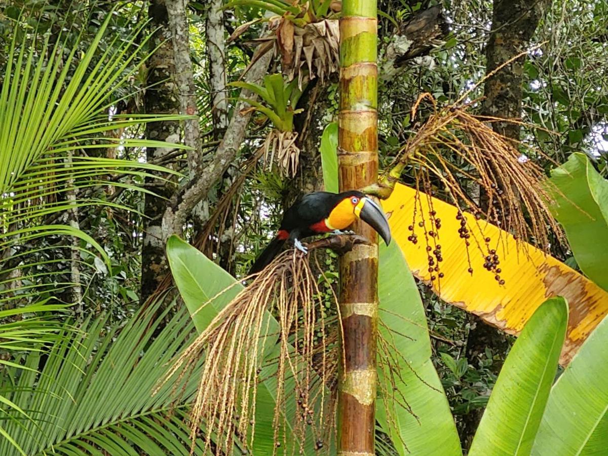Villa Casa Em Bertioga - Guaratuba Esterno foto